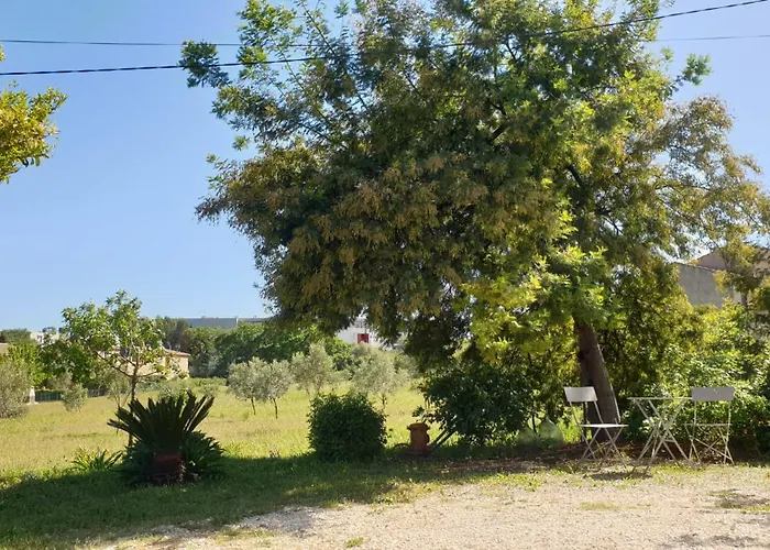 L'oliveraie Appartement