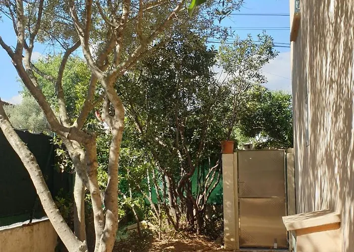 L'oliveraie Appartement *