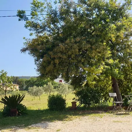 L'oliveraie Appartamento