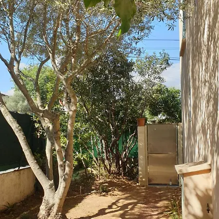 L'oliveraie Apartment *